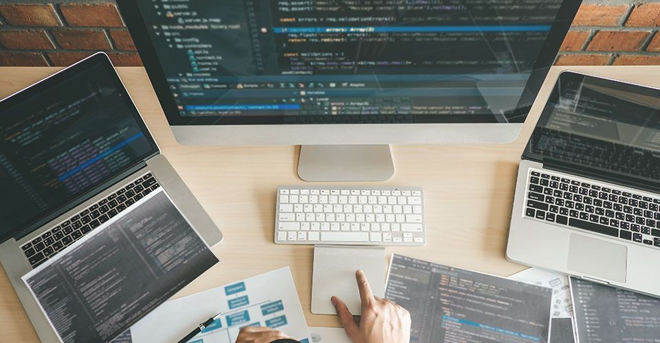 Professional developer programmer working on a website design